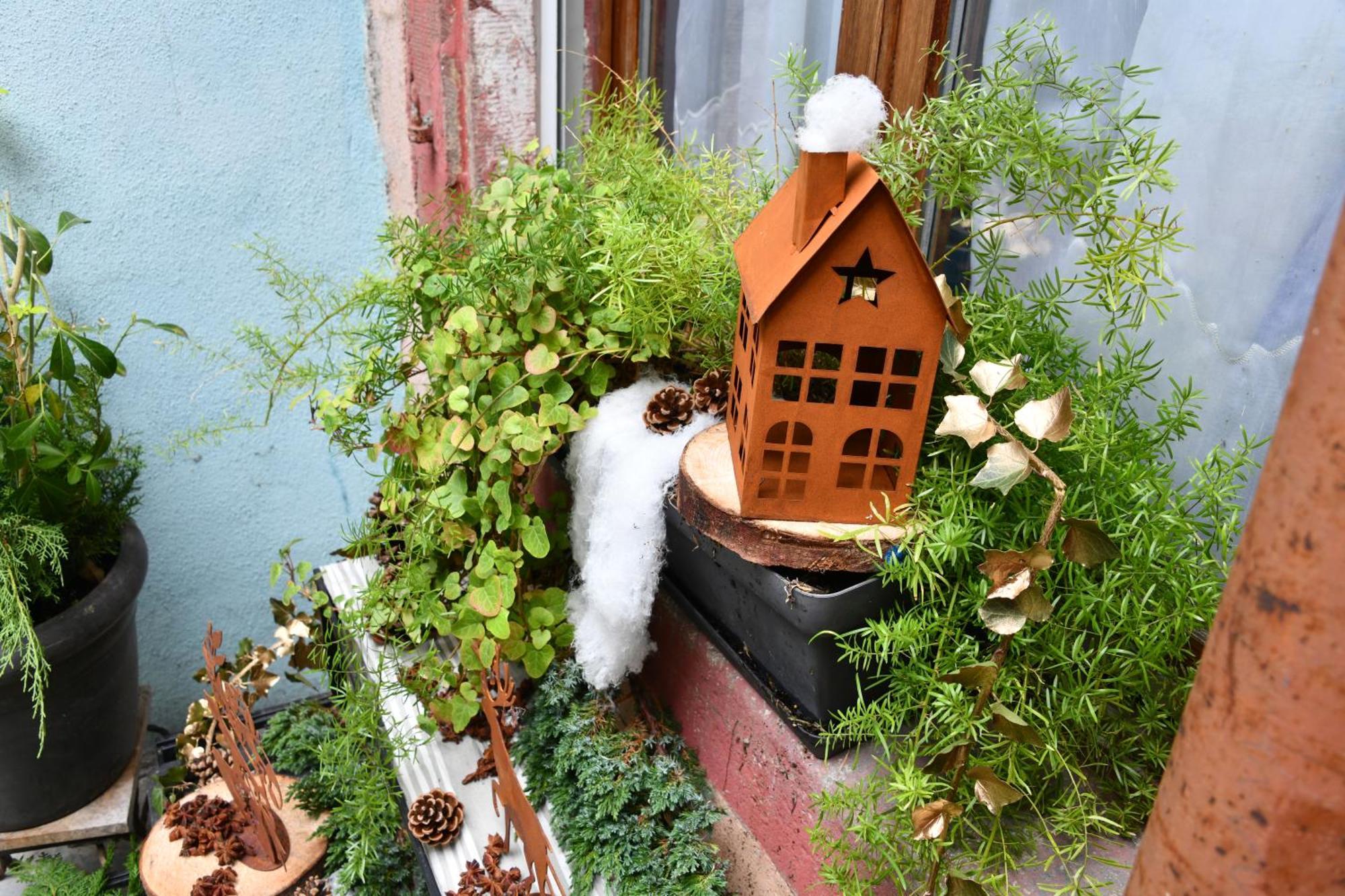 Gite See You Soon - Studio Surf Colmar Exterior foto